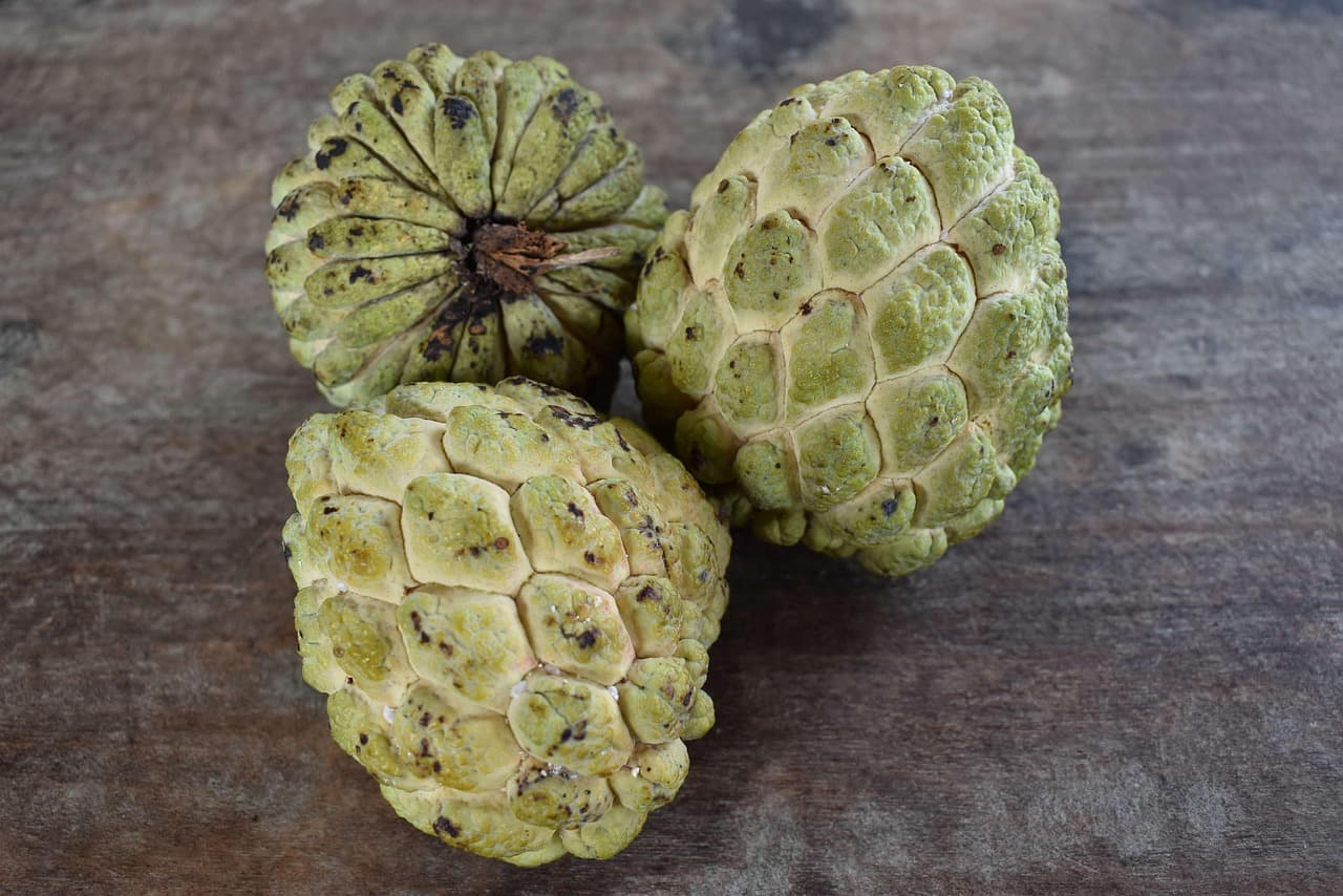 BHARAT FRUITS Contact Us