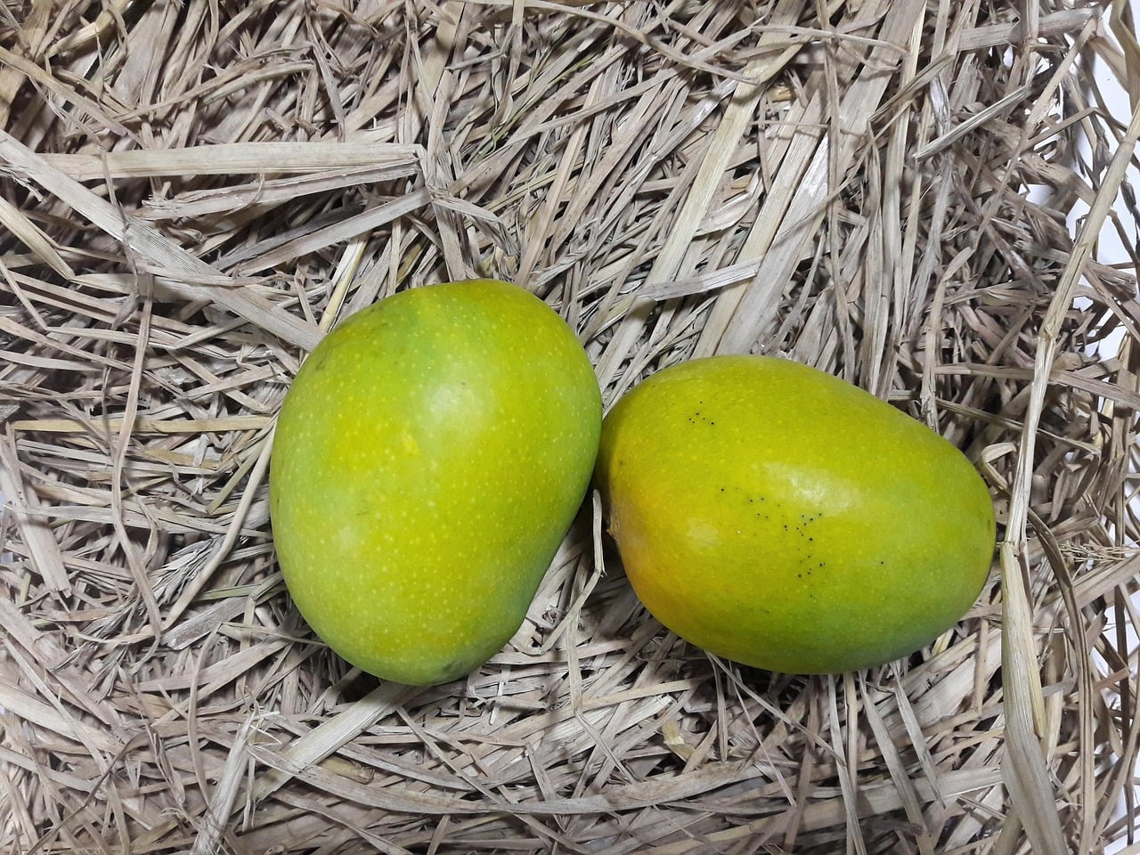 Alphonso Mango Box